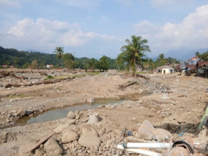 Percepat Pemulihan Lahan Pertanian Pasca Bencana di Sumbar, Pemerintah Salurkan Anggarkan Rp32 Miliar