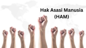 Paradoks Martabat: Menggugat Eksistensi HAM di Era Krisis Global