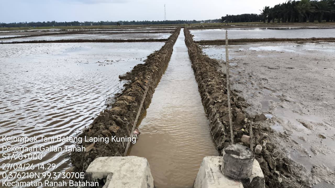 Pasaman Barat Memperbaiki 172 Hektare Lahan Sawah Rusak Ringan Terdampak Bencana