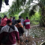 Hilang Diterkam Buaya Saat Cari Lokan, Pria Lansia di Pasaman Barat Ditemukan Meninggal Dunia