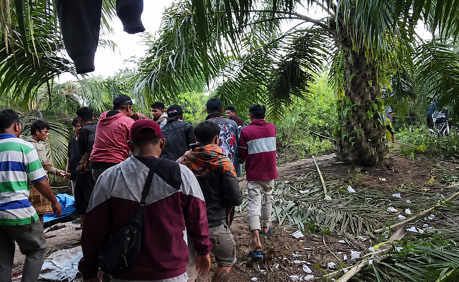 Hilang Diterkam Buaya Saat Cari Lokan, Pria Lansia di Pasaman Barat Ditemukan Meninggal Dunia