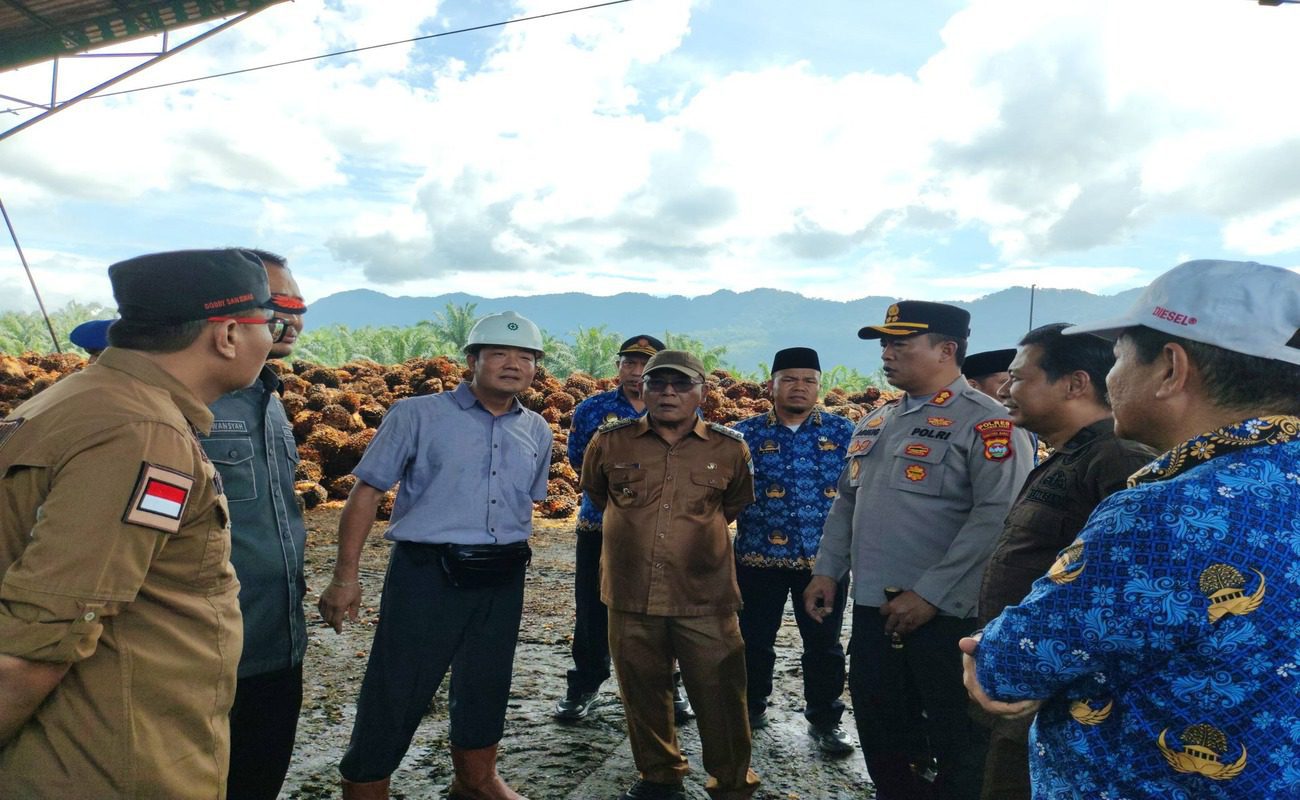 Sidak Forkopimda Pasbar Tegaskan Seluruh PKS Jaga Stabilitas Harga Sawit