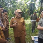 Dua Sekolah Bertaraf Nasional Segera Dibangun di Kabupaten Pasaman Barat