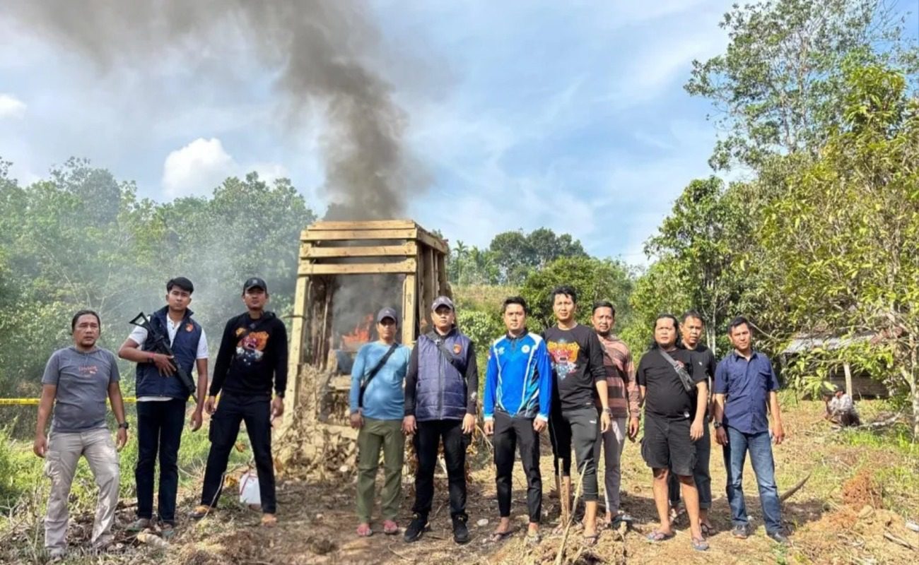 Kawasan Hutan Supayang Jadi Fokus Operasi Penertiban Tambang Emas Ilegal