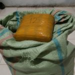 Pelajar SMA Asal Bukittinggi Nekat Jadi Kurir Puluhan Paket Ganja