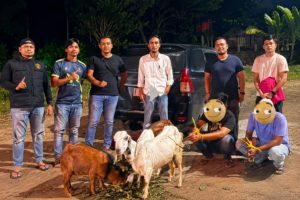 Maling Kambing di Talawi Tak Berkutik, Ditangkap Polisi di Koto Tangah Padang