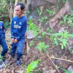 Kompak Berladang Ganja, Kakak Beradik di Agam Dibekuk Anggota Lanud